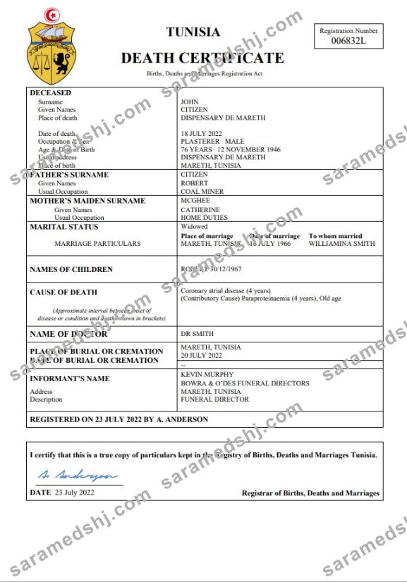 Tunisia vital record death certificate Word and PDF template